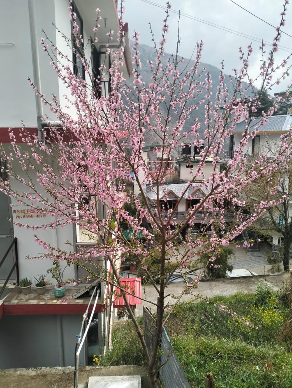 Aman Inn Dharamshala Buitenkant foto